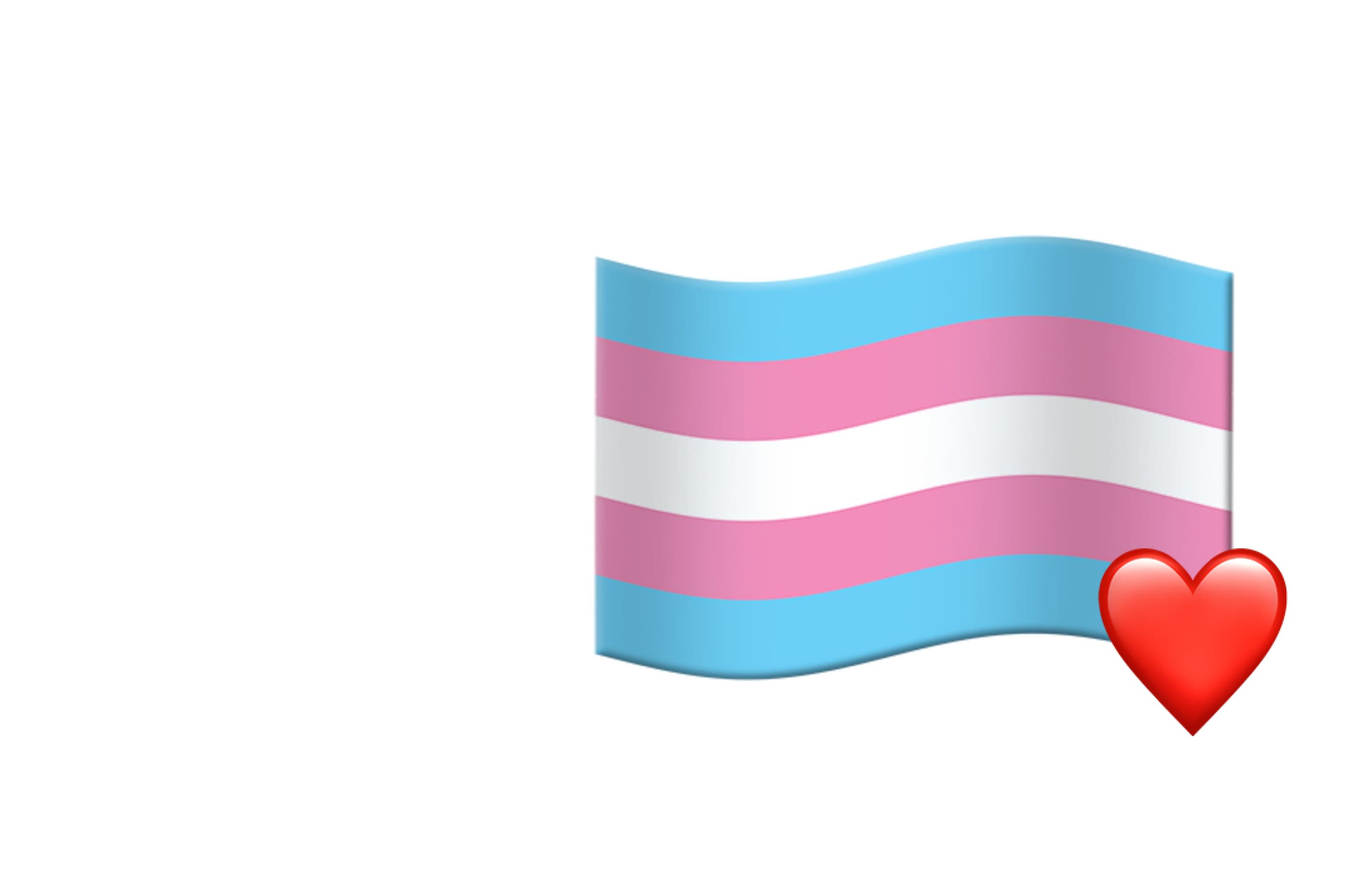 An image of the Trans Rights flag.